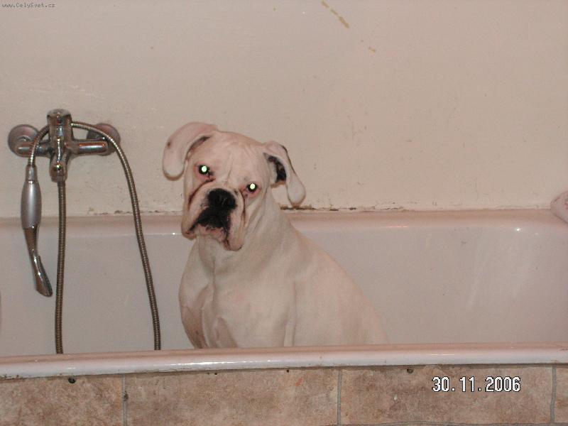 Foto: kde je ta mas�