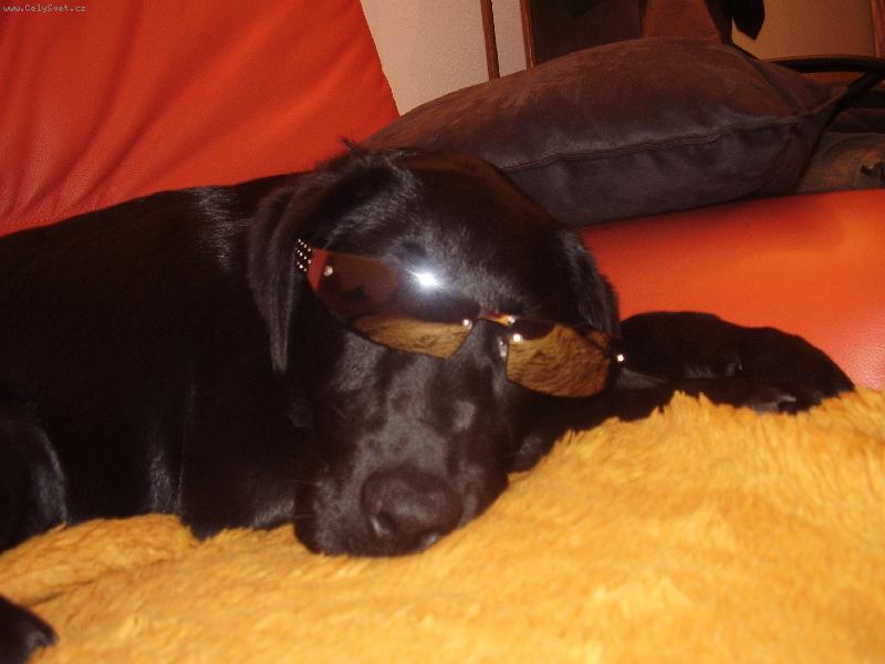 Foto: Jessie