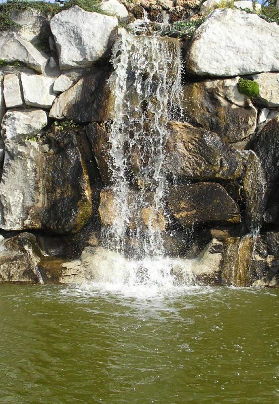 Foto: Kyti�ky-Horizont-Olomouc