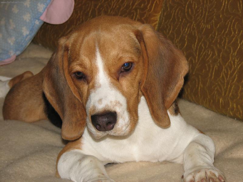 Foto: Rostu jako z vody