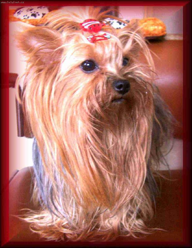 Foto: Trixinka-Par�dnice