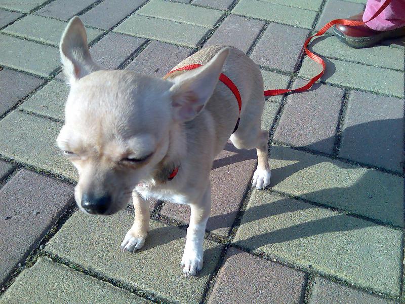 Foto: civava-venceni