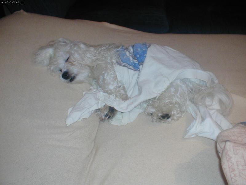 Foto: Ta �nava.....-Po silvestru