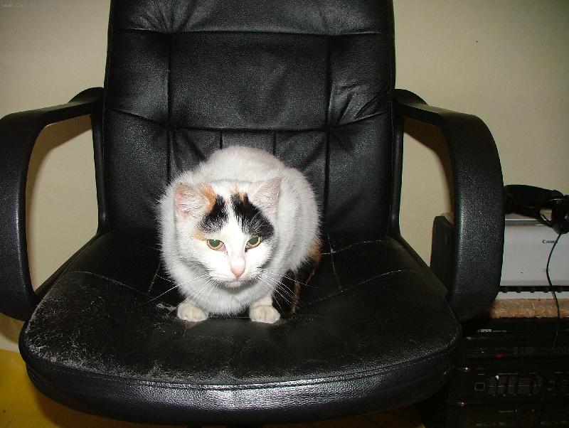 Foto: Moje Fifinka:)-Moje Fifinka:)