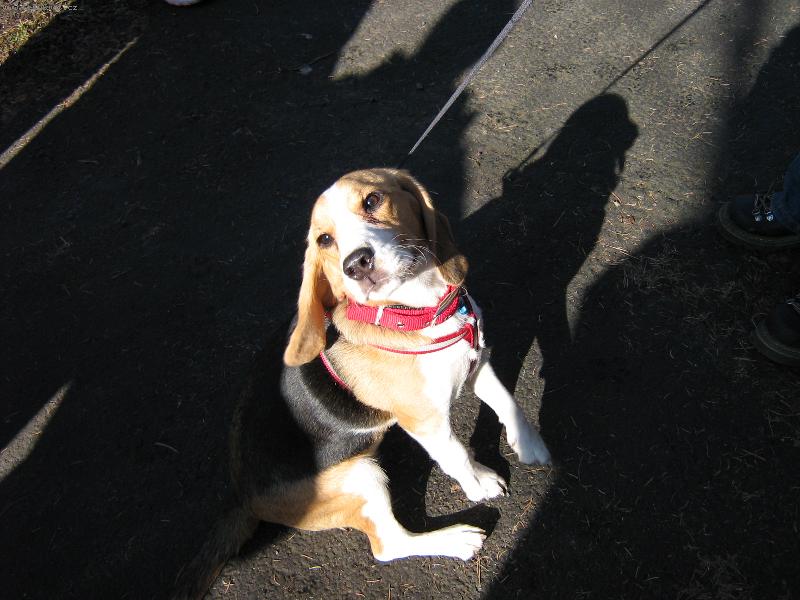 Foto: to slun��ko...