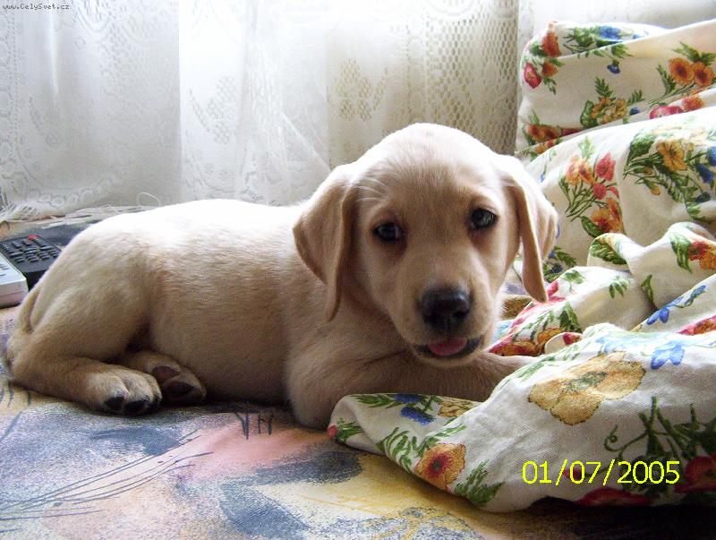 Foto: B�ra, prvn� den doma-je mi 6 t�dn�