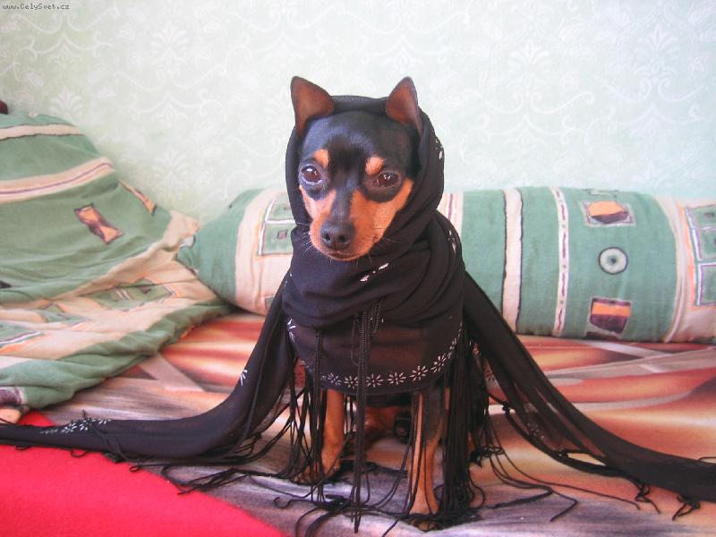 Foto: Fild�k ��bel