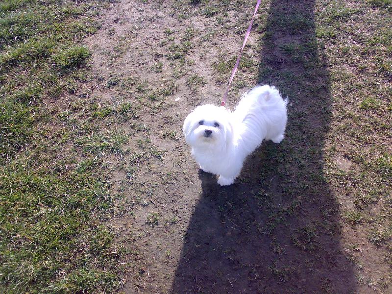 Foto: N� mil��ek Sindynka