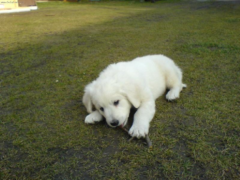 Foto: N� Argo-9.t�den