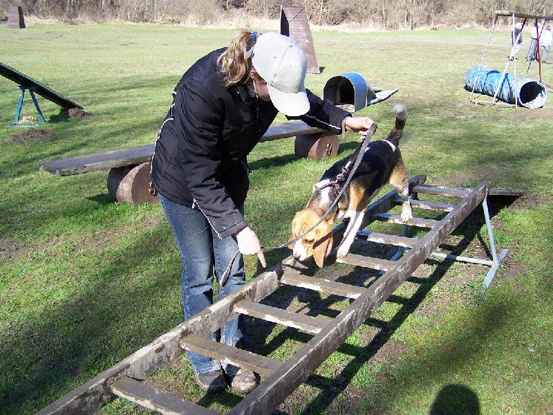 Foto: Bonny z�chran��