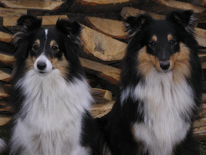 Foto: Bel� a Jamie