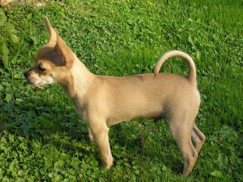 Foto: Denny ve st�ehu