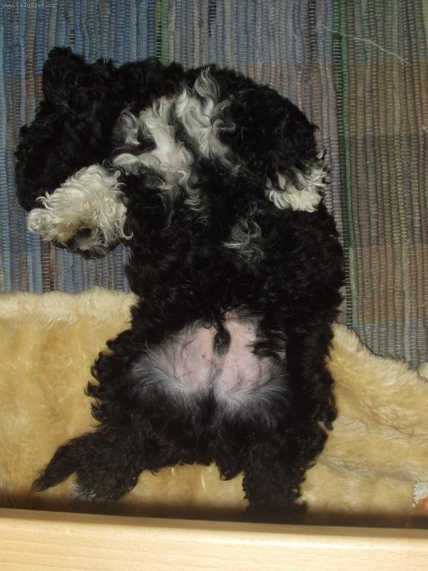 Foto: z proch�zky-chrupk�n�