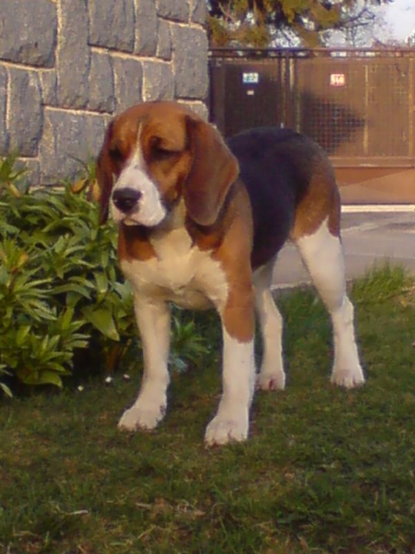 Foto: Bonny-V�stavn�