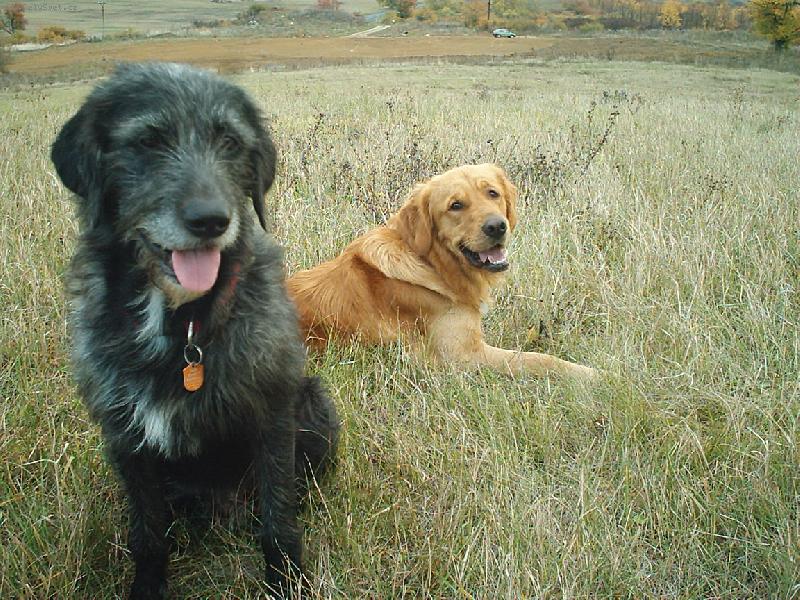 Foto: Lucky a Rigolo