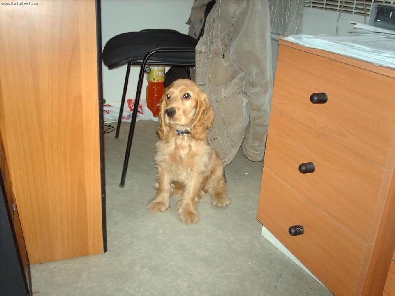 Foto: Tony op�t-Pracant