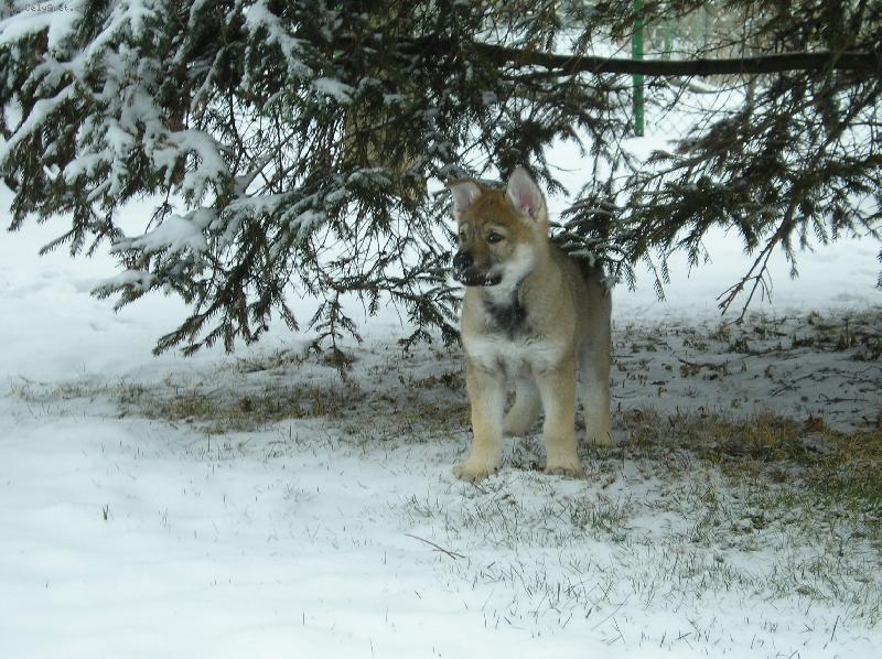 Foto: �t�n�tko