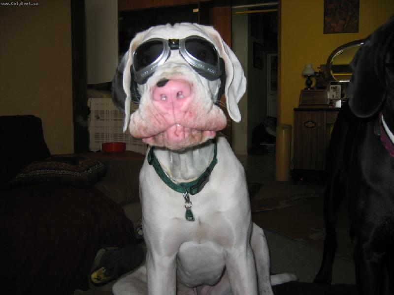 Foto: Campbell Quincy Etc