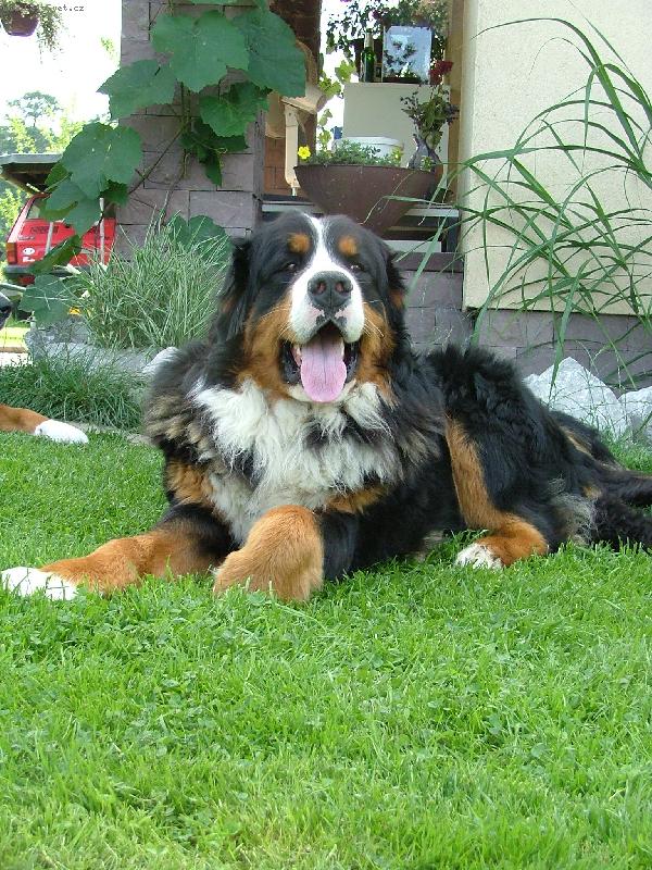 Foto: Amigo Chce Wiecej