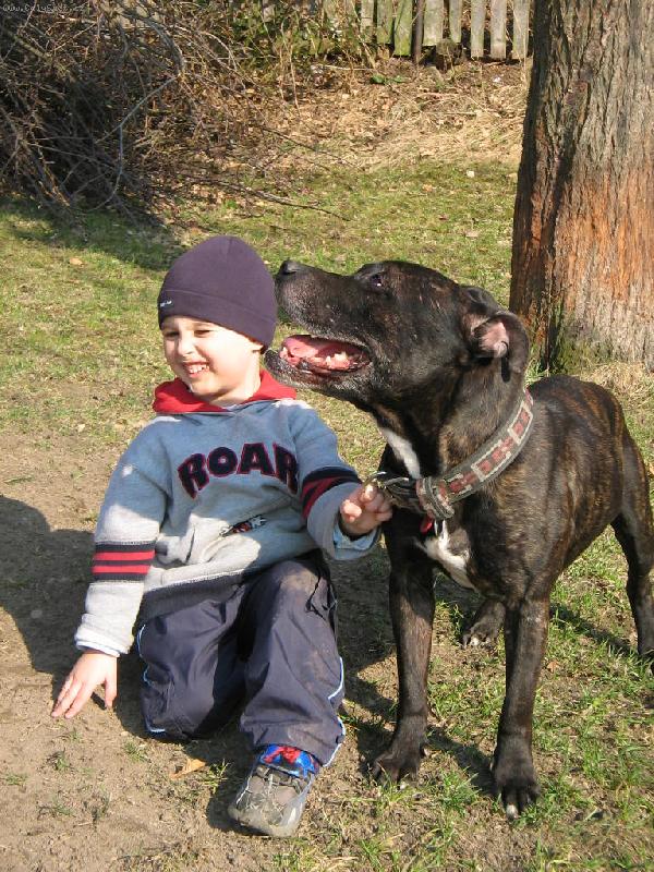 Foto: Deny a Mat�j-Deny a Mat�j