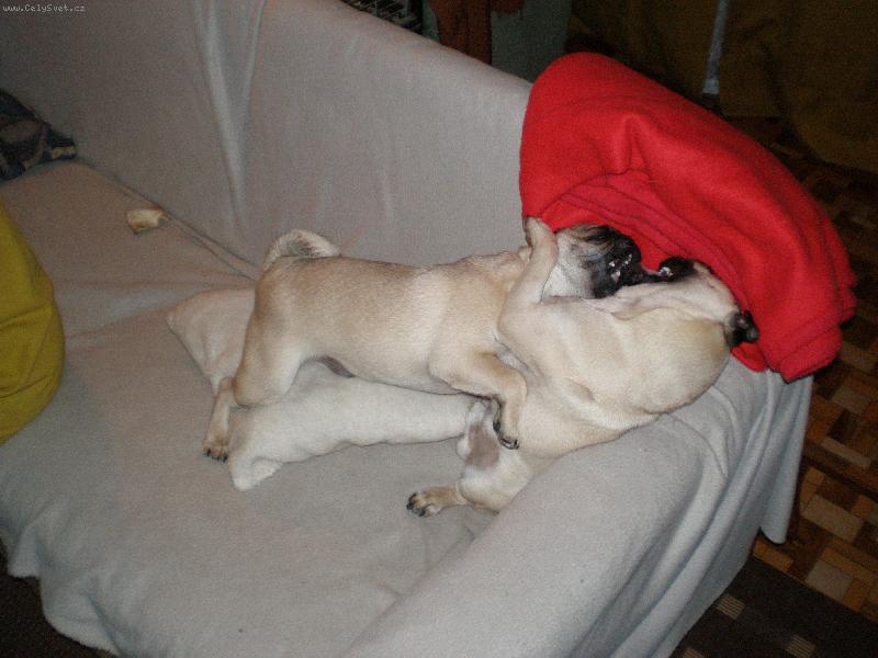 Foto: Tom s Adamem p�i hran�