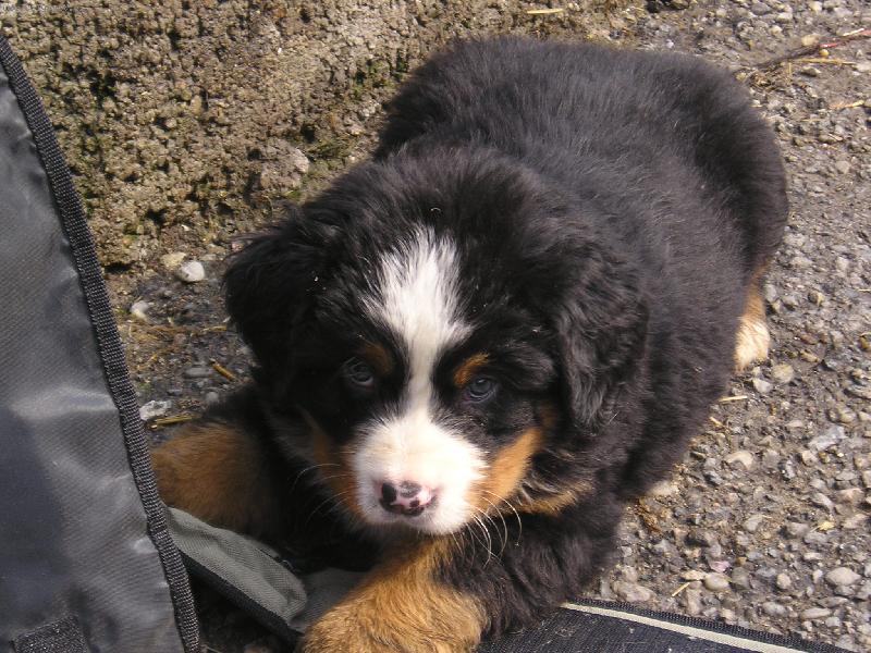 Foto: kasik (kasius)-m�j batoh