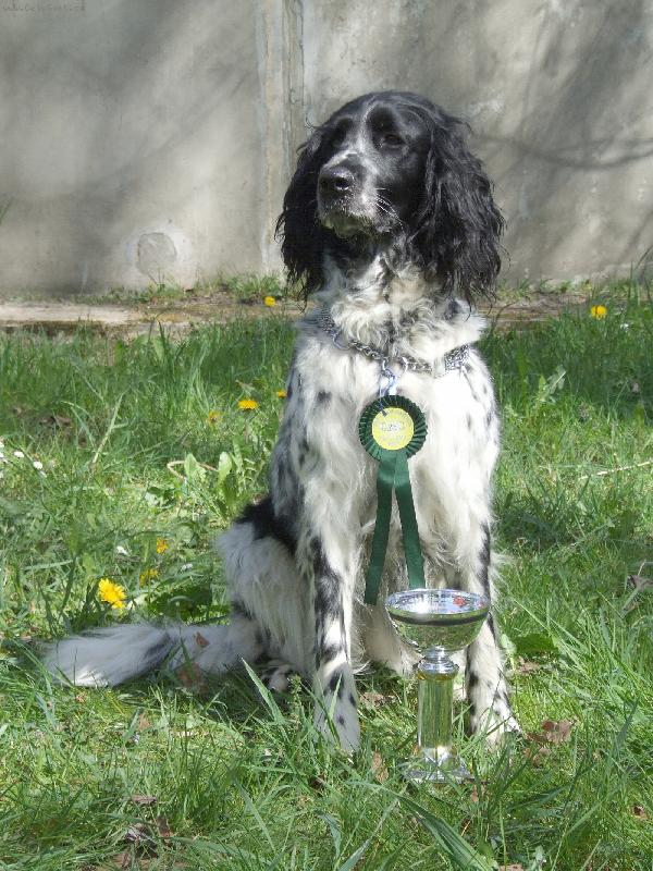 Foto: Hela od Star� vsi