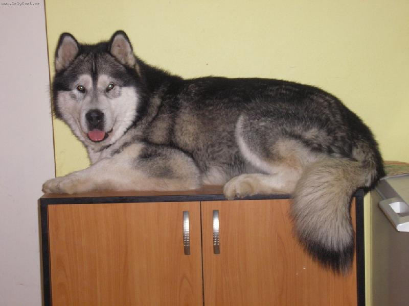 Foto: Tip �op, ale vejdu se...... :-)