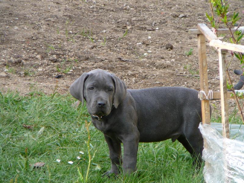 Foto: Nerou�ek-9 t�dn�