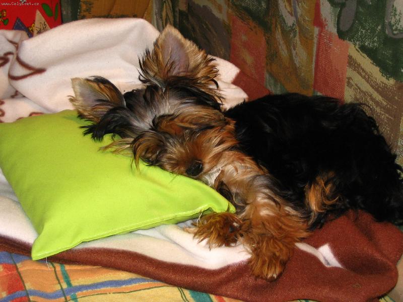 Foto: Sp�m, neru�it!