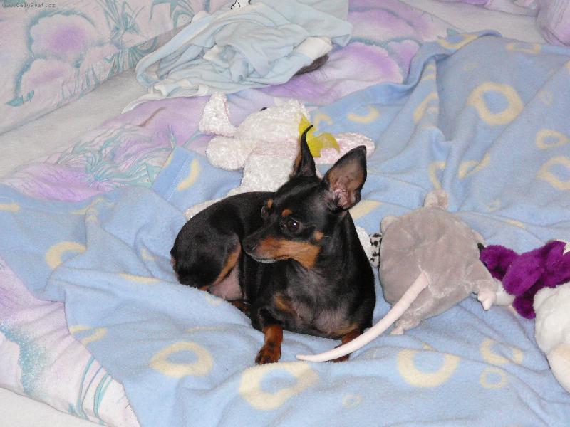 Foto: Matylda-odpo��v� na posteli