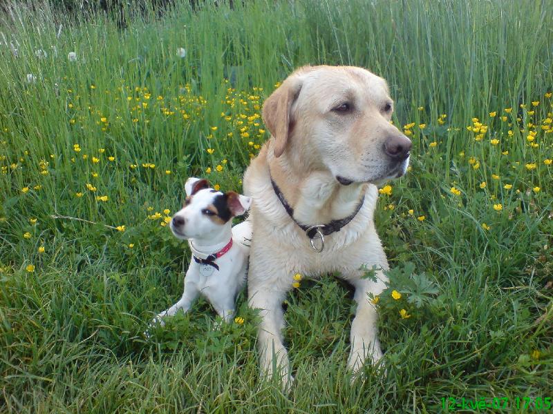 Foto: Agnes s Dastym