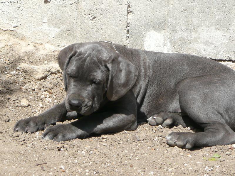 Foto: Nerou�ek-11 t�dn�