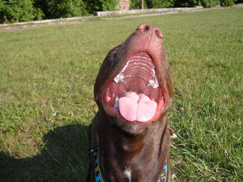 Foto: bez koment��e