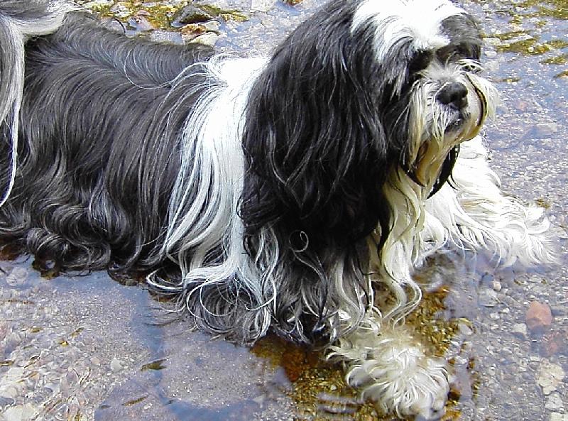 Foto: mil��ek-koupel