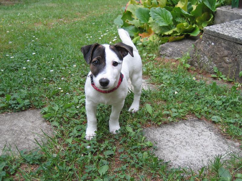 Foto: Annie poprv� na chat�-:)))