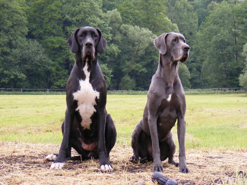 Foto: bez koment��e...