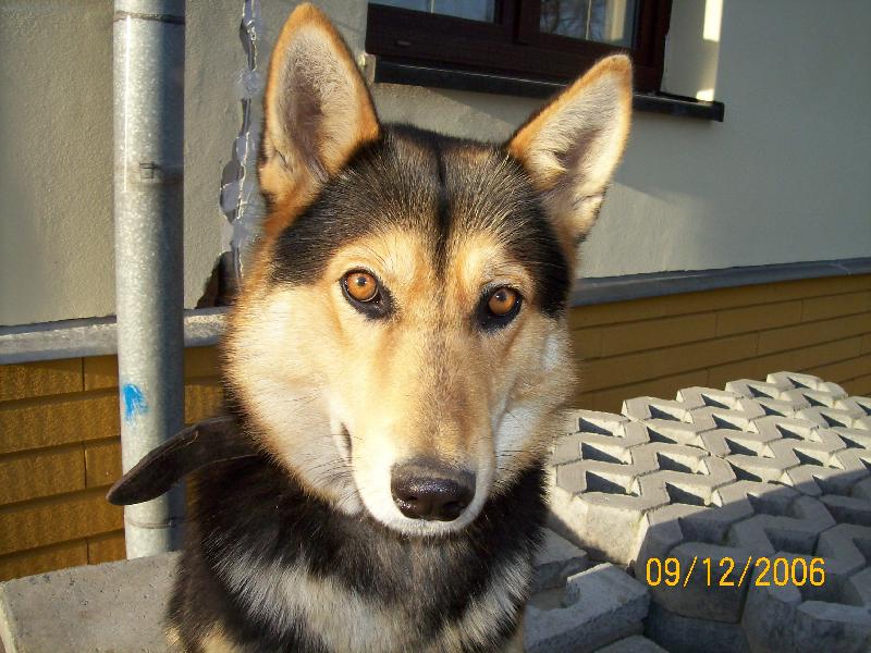 Foto: Kuuuuukkkk..-Moje S�ra kouk�