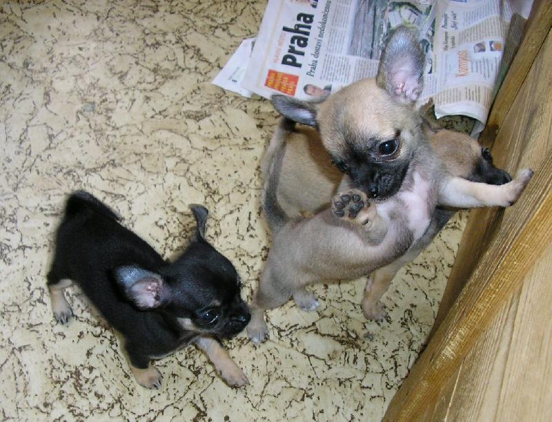 Foto: poj� taky....