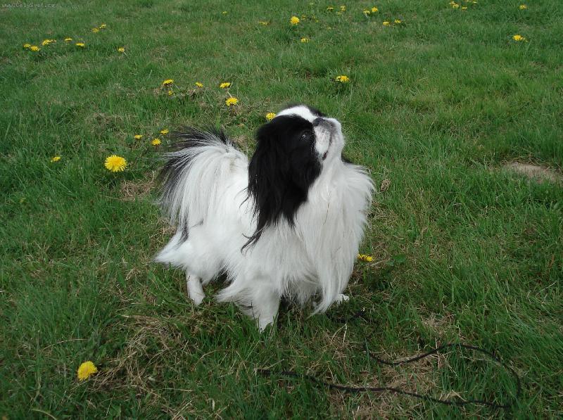 Foto: Cameo na vych�zce