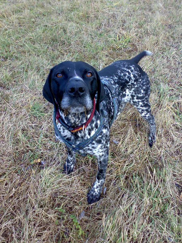 Foto: Dyk z Vis�lku