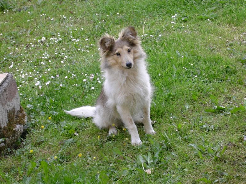 Foto: Mia-Co mi d� ?