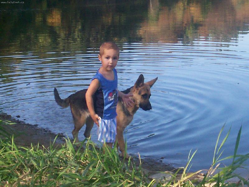 Foto: S�ra a D�da