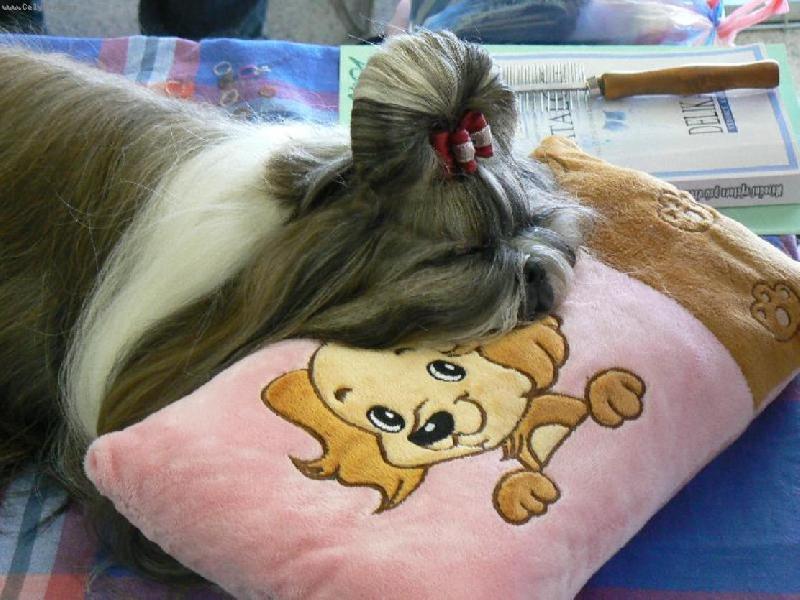 Foto: CH.Jeron Atrei