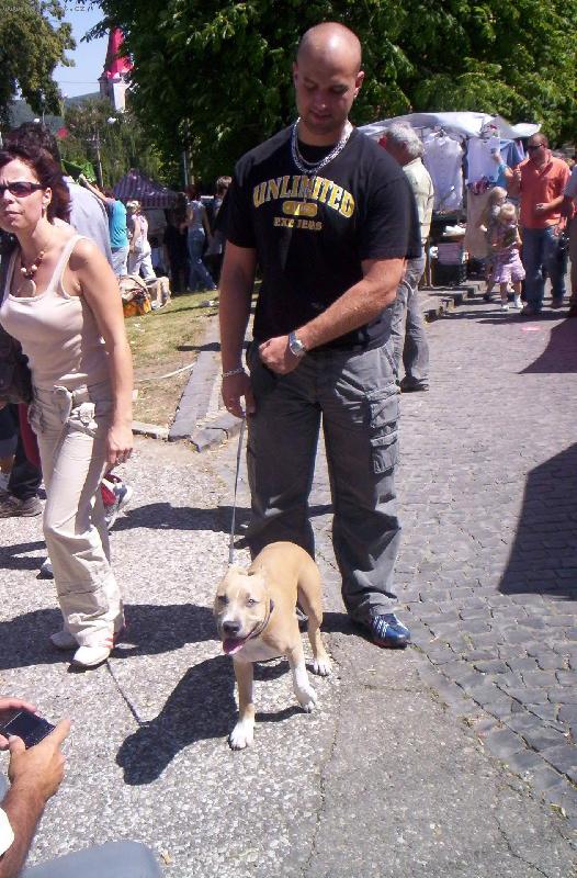 Foto: arny-arny na v�let�