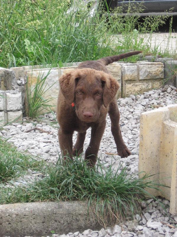 Foto: Henrietta Harmonny-st��� 3 m�s�ce