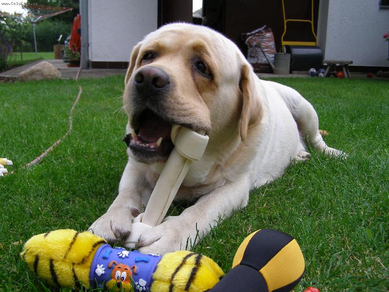 Foto: Fram-pohod��