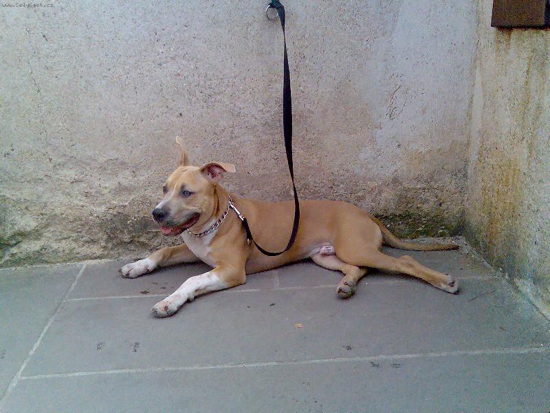 Foto: arny na v�let�