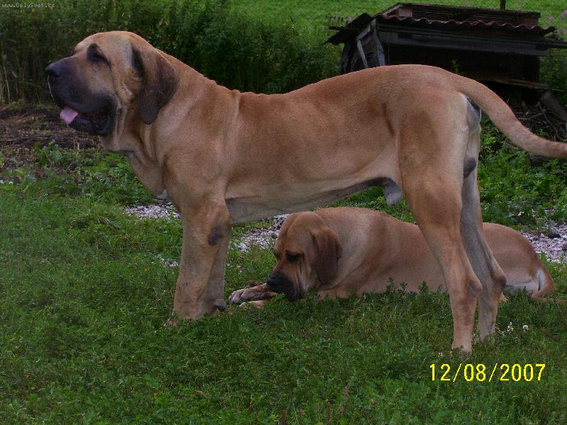 Foto: pohodi�ka po sn�dani...