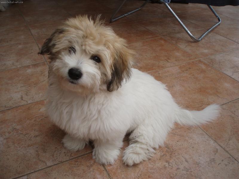 Foto: Beanie from Cotton Home